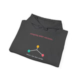 Choice Architect - Graphic Hoodie