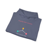 Choice Architect - Graphic Hoodie