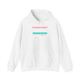 I have a spreadsheet for that. - Premium Hoodie