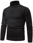 Manfinity Homme Men Solid Turtleneck Thermal Lined Sweater