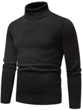 Manfinity Homme Men Solid Turtleneck Thermal Lined Sweater