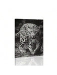 1 Pc Framed Art Decoration Ready To Hang Black And White Leopard Fashion Animal Poster Print Canvas Wildlife Wall Decor Painting Room Home Picture Art Inspiration Framed