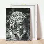 1 Pc Framed Art Decoration Ready To Hang Black And White Leopard Fashion Animal Poster Print Canvas Wildlife Wall Decor Painting Room Home Picture Art Inspiration Framed