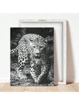 1 Pc Framed Art Decoration Ready To Hang Black And White Leopard Fashion Animal Poster Print Canvas Wildlife Wall Decor Painting Room Home Picture Art Inspiration Framed