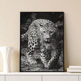 1 Pc Framed Art Decoration Ready To Hang Black And White Leopard Fashion Animal Poster Print Canvas Wildlife Wall Decor Painting Room Home Picture Art Inspiration Framed