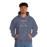 Statistically Significant. - Premium Hoodie