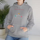 Choice Architect - Graphic Hoodie