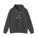 Choice Architect - Graphic Hoodie