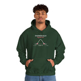 Statistically Significant. - Premium Hoodie